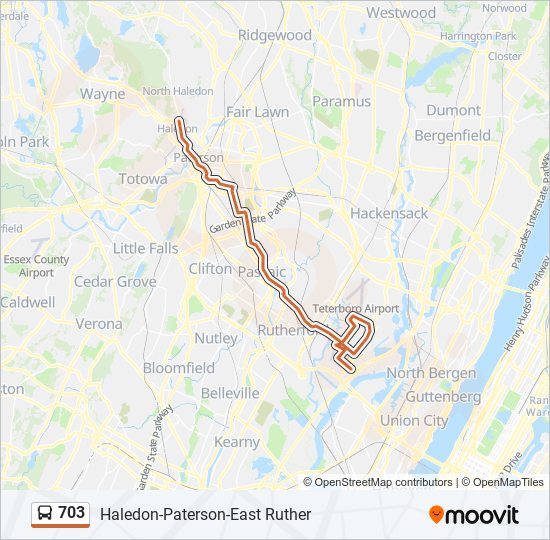 703 Route Schedules, Stops & Maps Haledon (Updated)