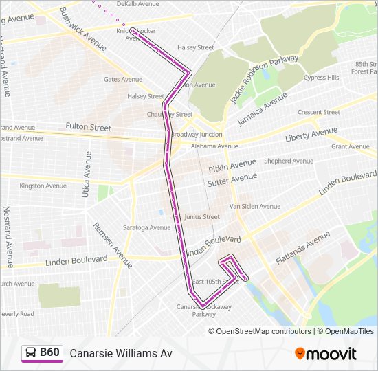 b60 Route Schedules, Stops & Maps Canarsie Williams Av (Updated)
