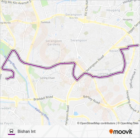 Bus 53 Route Map 53 Route: Schedules, Stops & Maps - Bishan Int (Updated)