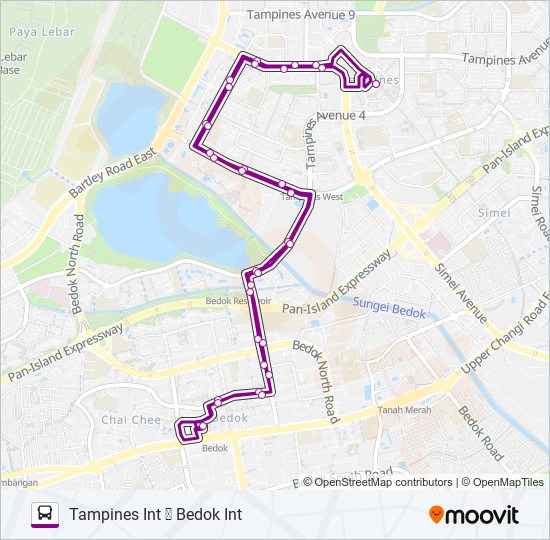 69 Route Schedules, Stops & Maps Tampines Int (Updated)