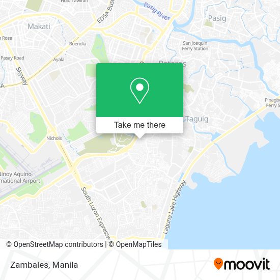 How to get to Zambales in Taguig by bus or train?
