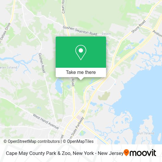 Can You Bring Dogs To Cape May Zoo