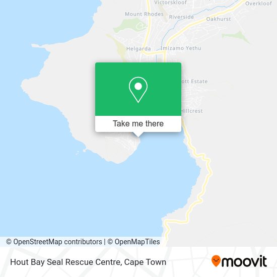 How to get to Hout Bay Seal Rescue Centre in Wynberg by bus or train?