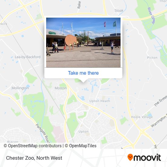 How to get to Chester Zoo by bus or train?