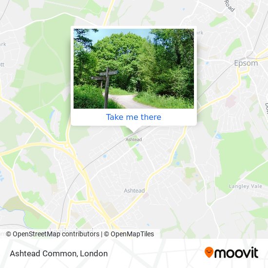How to get to Ashtead Common in Leatherhead by Train or Bus?