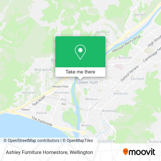 How to get to Ashley Furniture Homestore in Hutt Central by bus or train?