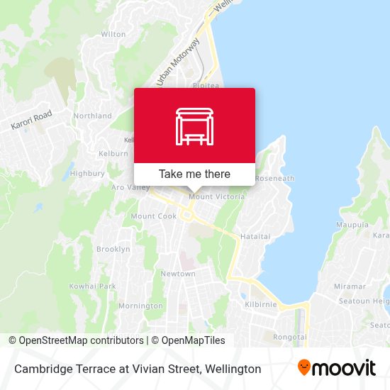 How to get to Cambridge Terrace at Vivian Street in Wellington by Bus