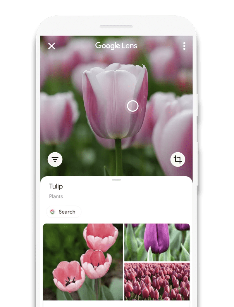 Google to Integrate 'Lens' to Android Search Bar, Similar to iOS