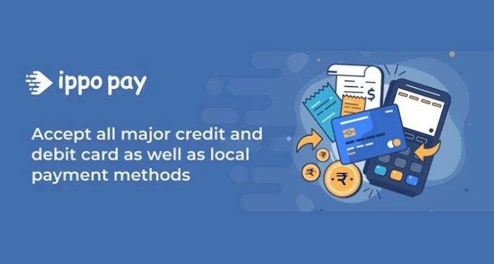 IppoPay, a Chennai-based fintech startup, raises undisclosed pre-seed ...