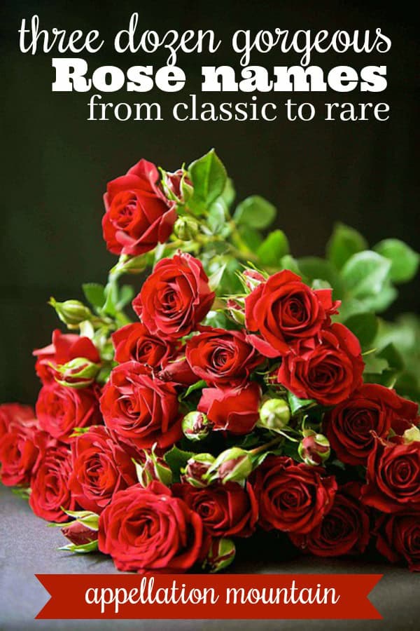 Rose Names Rosalie, Rosemary, Primrose Appellation Mountain