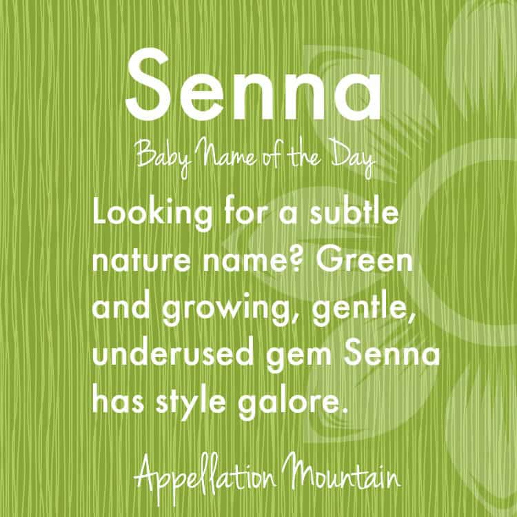Senna Baby Name of the Day Appellation Mountain