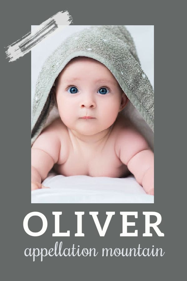 Baby Name Oliver Dapper and Playful Appellation Mountain