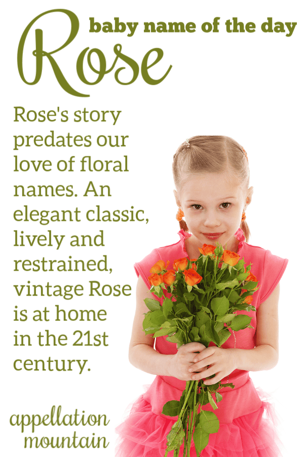 Rose Baby Name of the Day Appellation Mountain