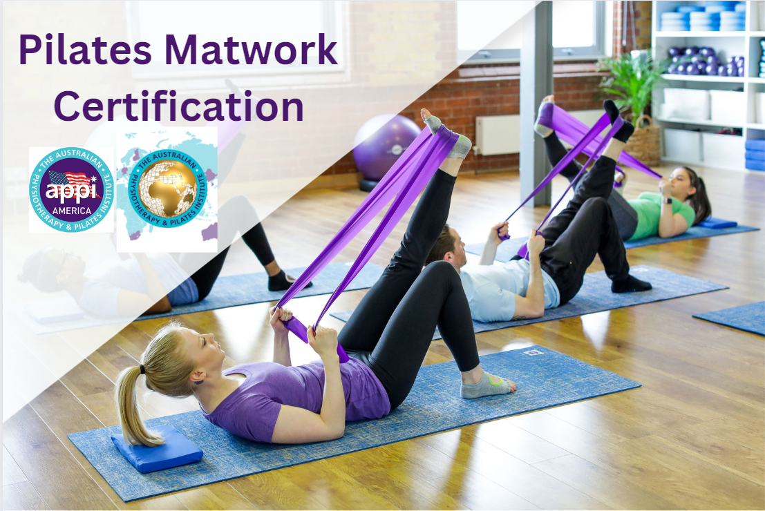 Pilates Matwork Certification ONLINE APPI America