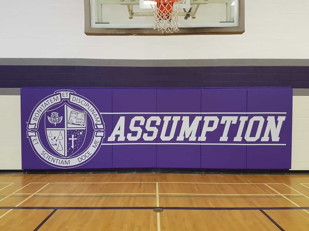 Custom Permanent Wall Padding Apple Athletic