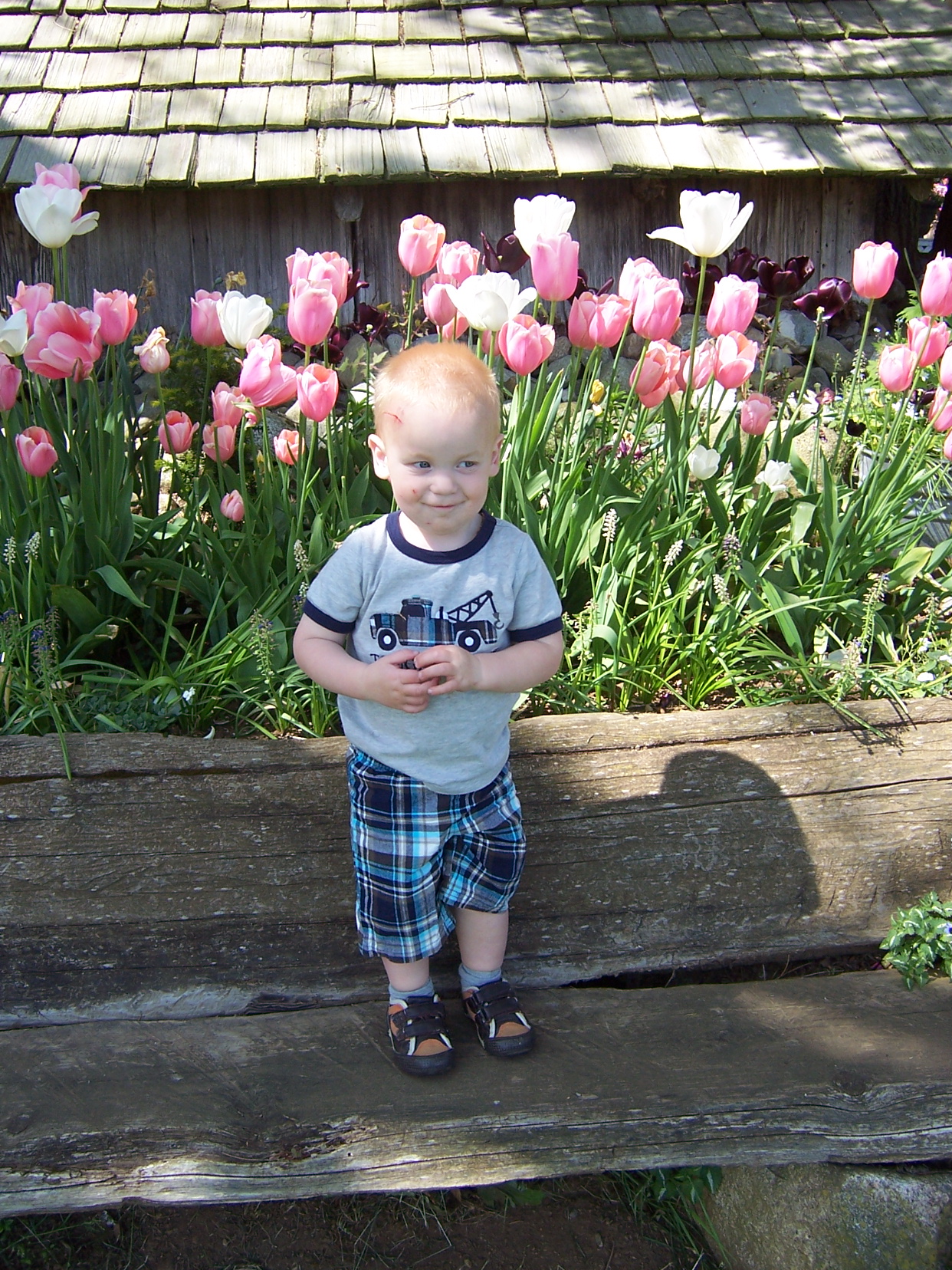 Deroche Property appleformom