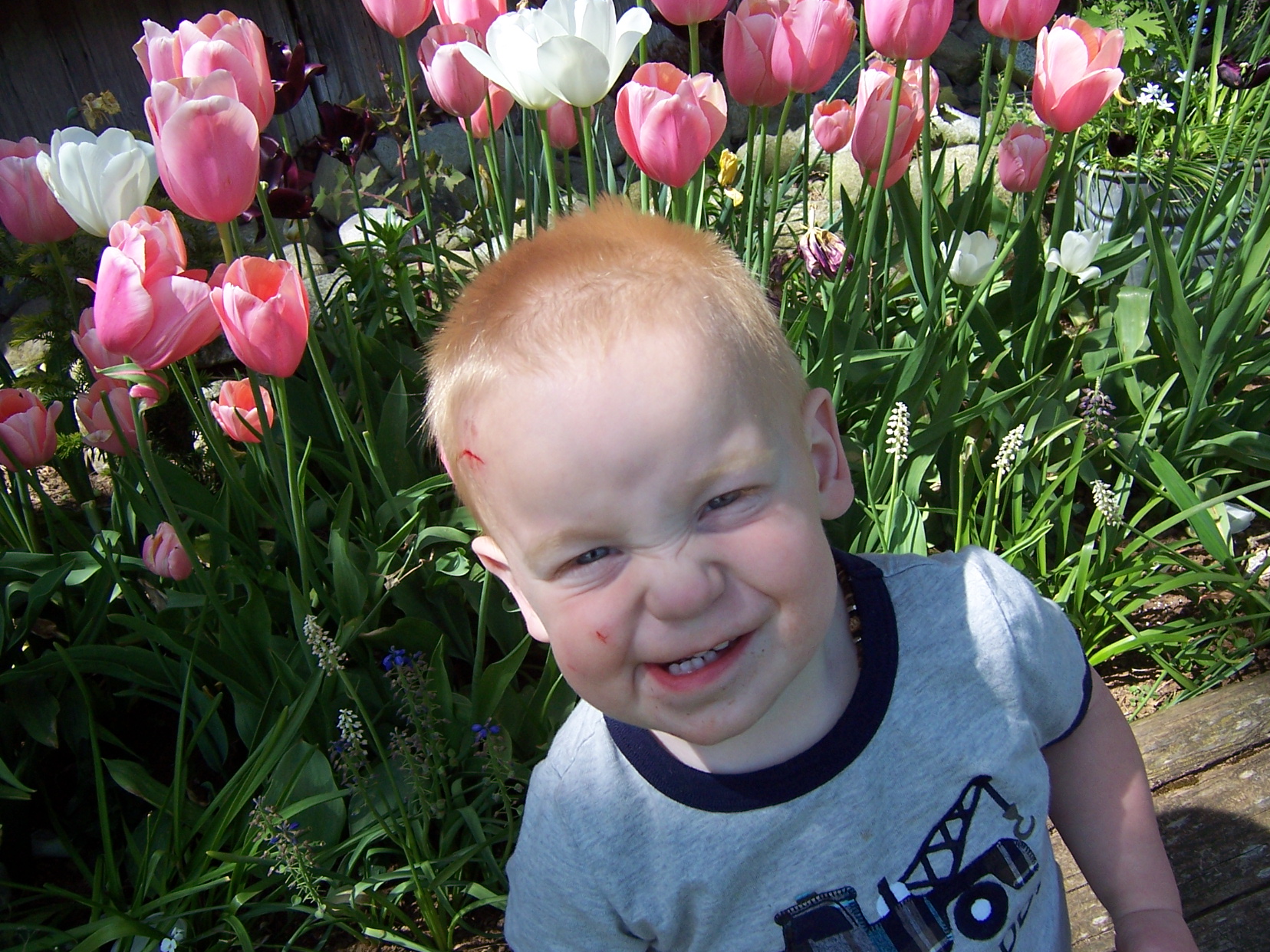 Deroche Property appleformom