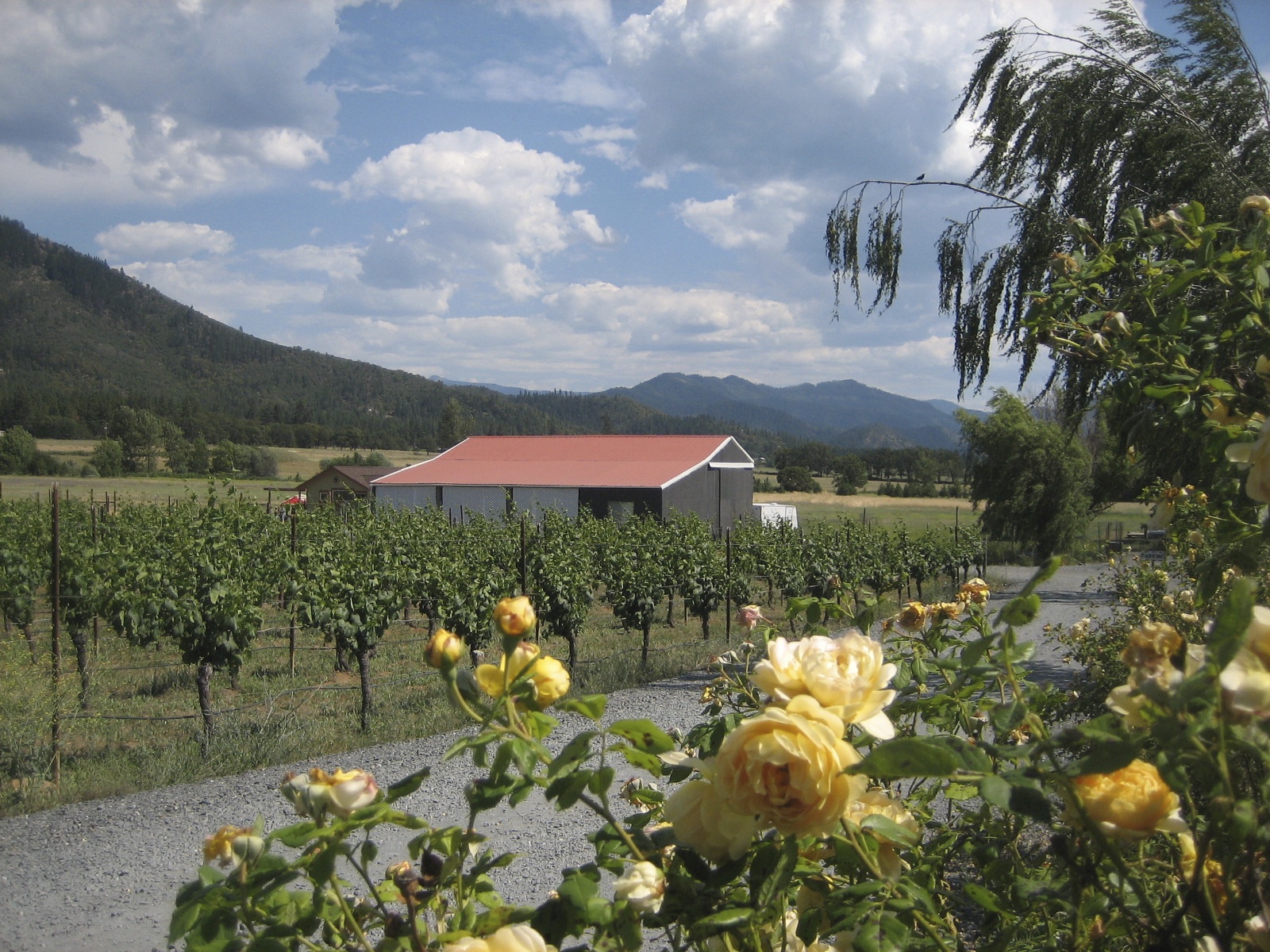 Photo Gallery The Applegate Wine Trail 19 Wineries in Southern Oregon