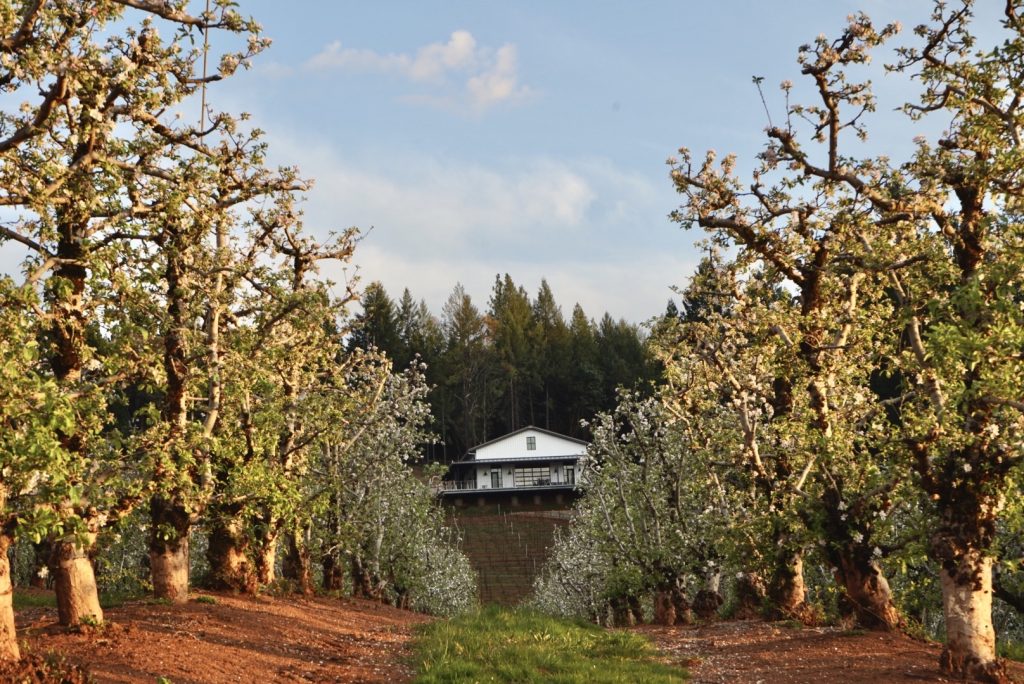 Delfino Farms Apple Hill Growers Association