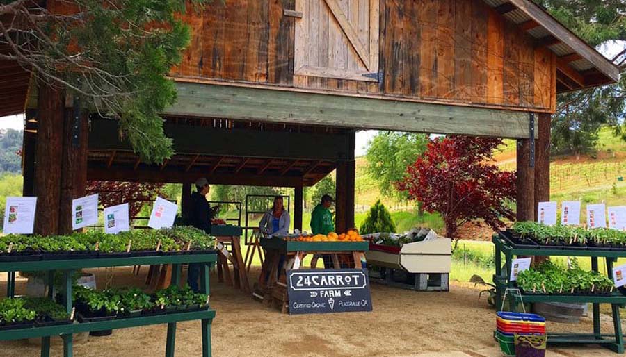 24 Carrot Farm Apple Hill Growers Association