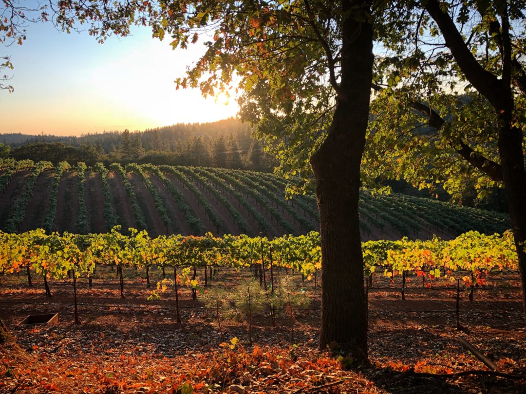 Spring & Summer Apple Hill Growers Association