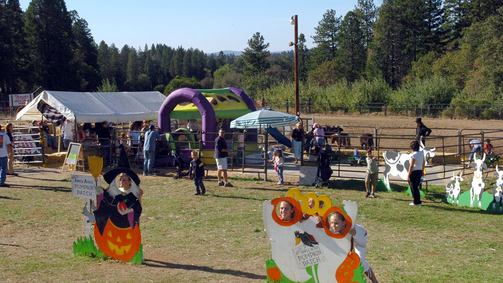 Kids Activities Apple Hill Growers Association