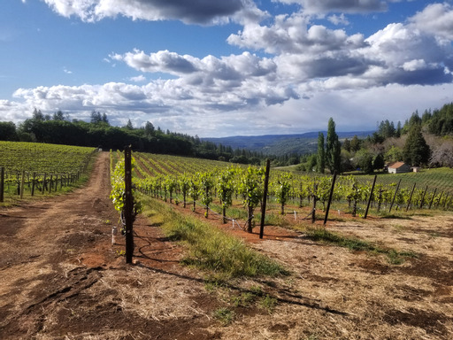 Apple Hill Events 2023 Upcoming Events › Apple Hill Growers Events › – Apple Hill Growers Association