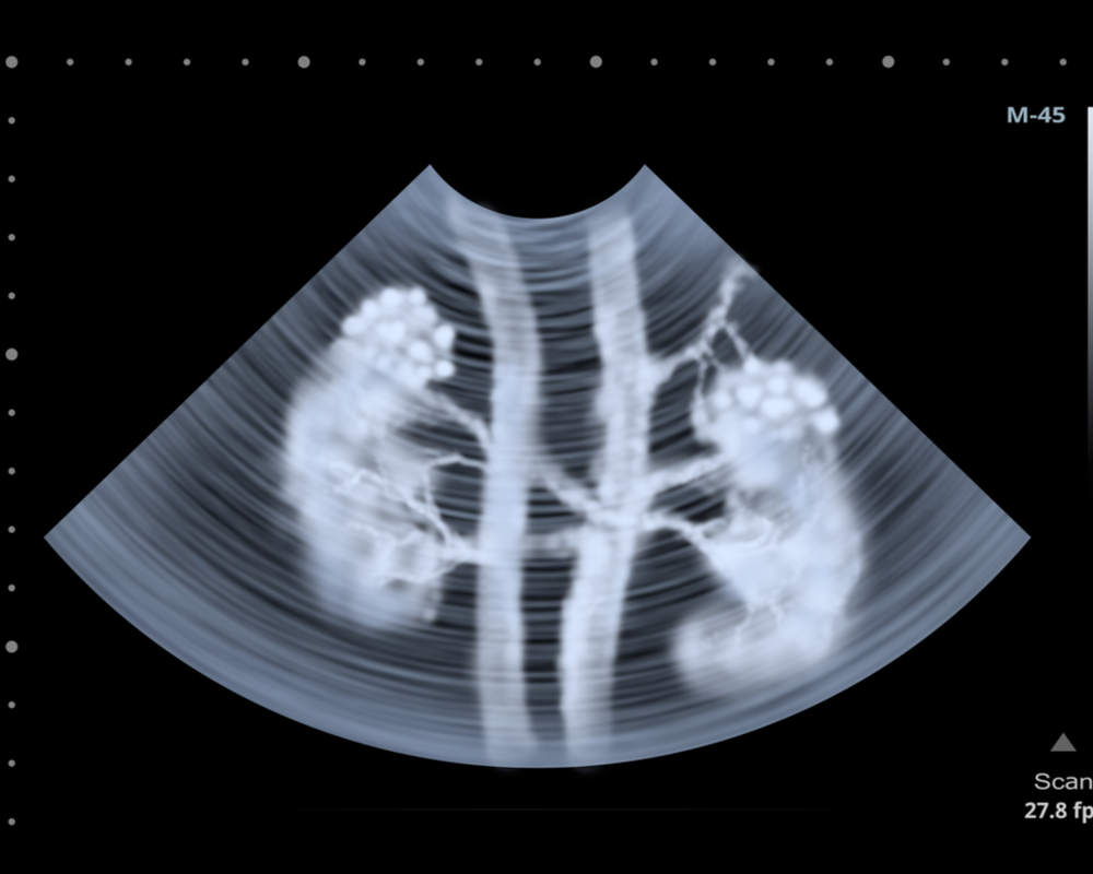 For Technologists Radiology Associates of Appleton
