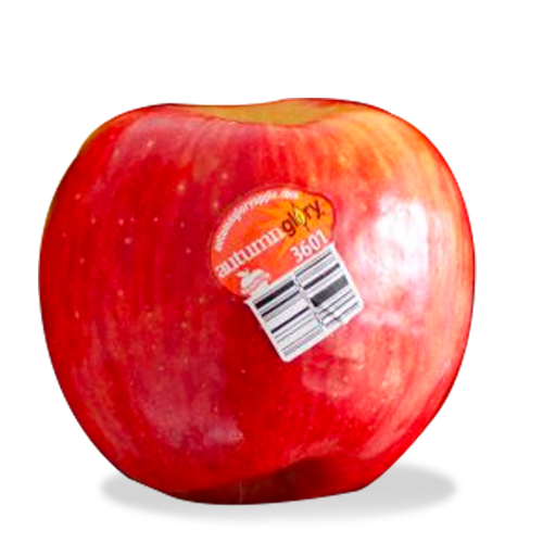 Autumn Glory Apple Review Apple Rankings by The Appleist Brian Frange