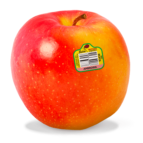 Ambrosia Apple Review Apple Rankings by The Appleist Brian Frange