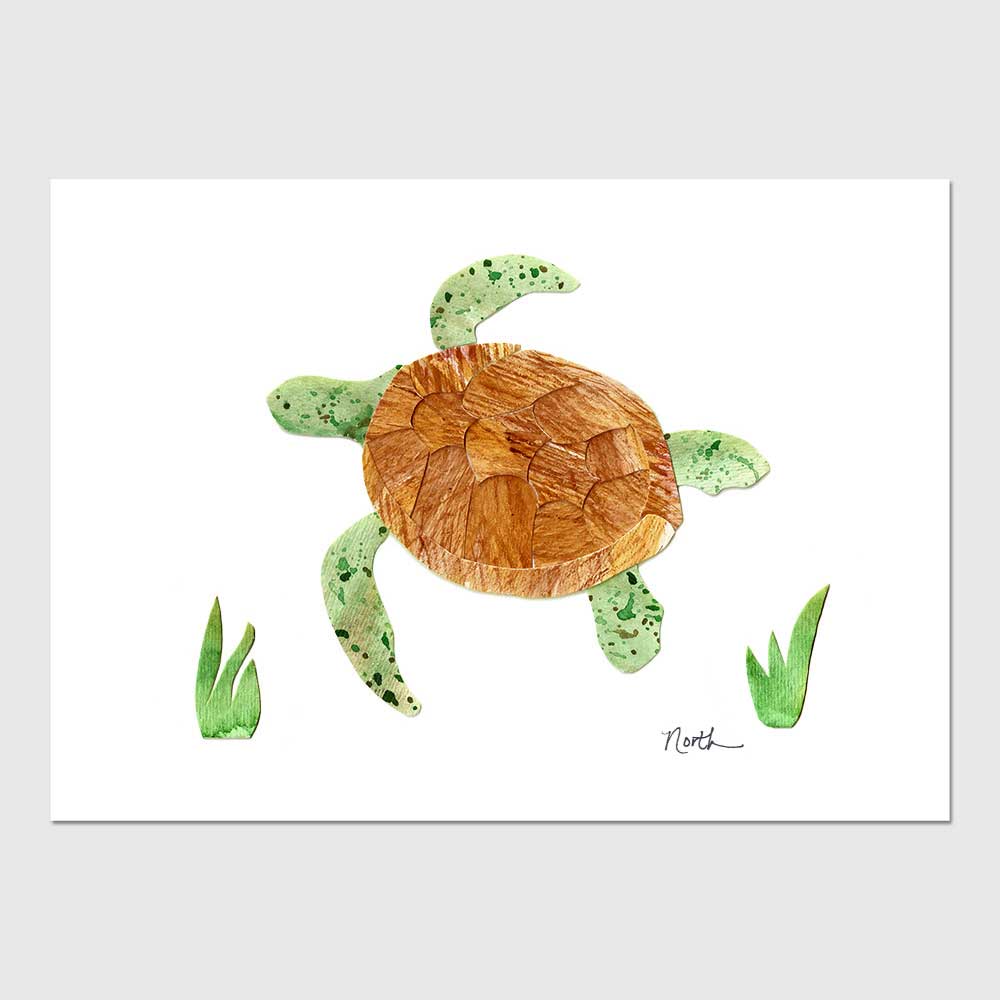 Green Sea Turtle Print AppleSprout Art