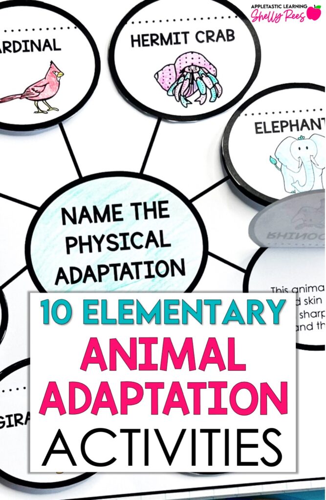 10 Great Elementary Animal Adaptation Activities Appletastic Learning