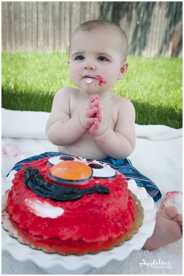 Baby's First Year Bucks County Portrait Photographer