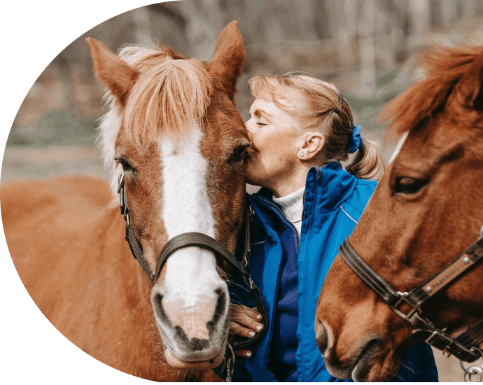 Pet Services Near Me 56208 Appleton Veterinary Clinic