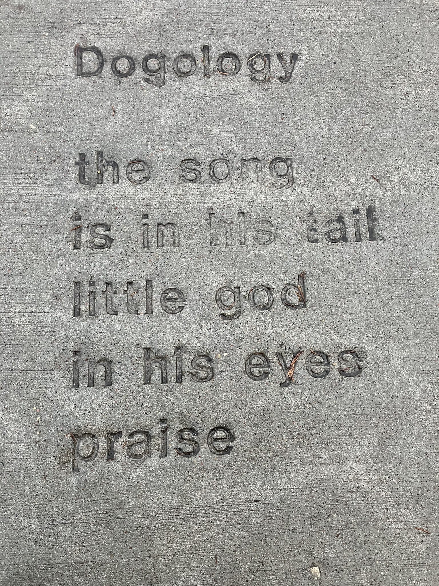 Appleton City Council Update January 9 January 13, 2023