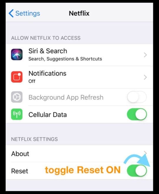 Netflix App not working on iPad or iPhone Let's Fix It! AppleToolBox