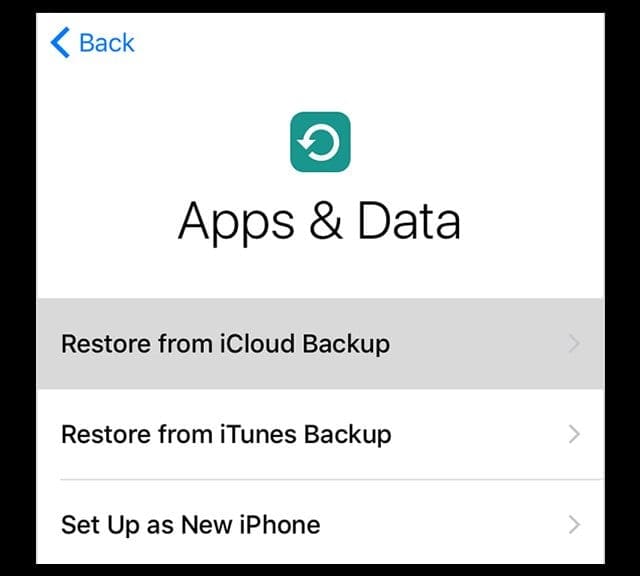 I Accidentally Deleted Text Messages From My iPhone, How Do I Get Them