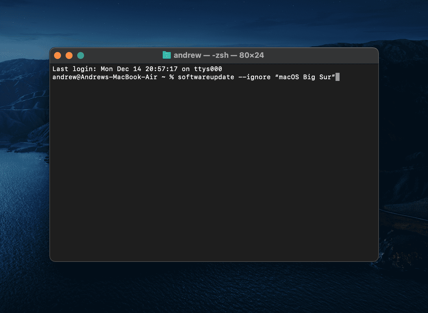 How to Stop Your Mac From Updating to macOS Big Sur AppleToolBox