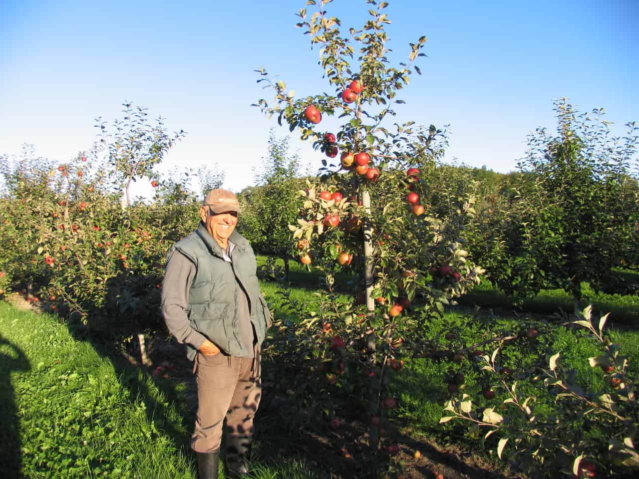 Applewood Farm Toronto, GTA, Stouffville Ontario