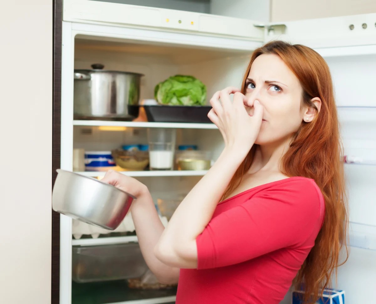 How to Remove Odor From a Refrigerator Appliance Technician