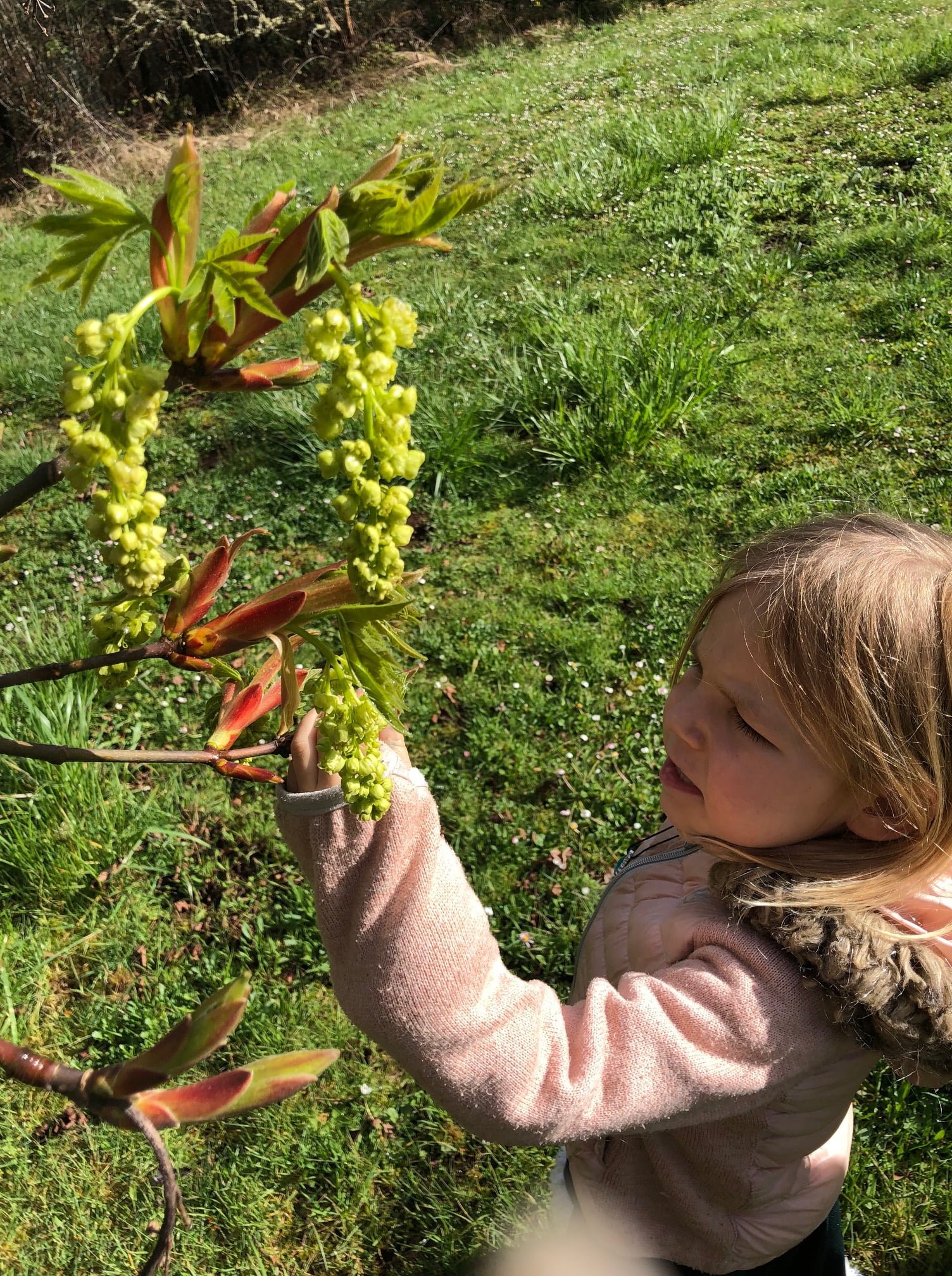 Cooped up from COVID? Our staff has your outdoor activities