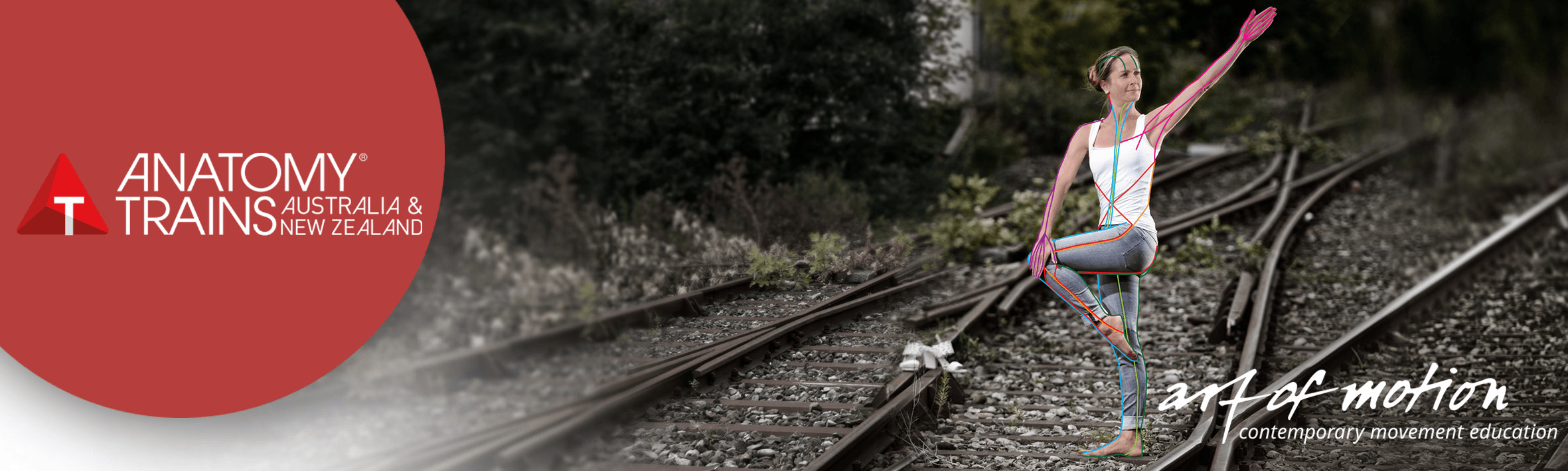 Anatomy Trains in Motion Applied Movement