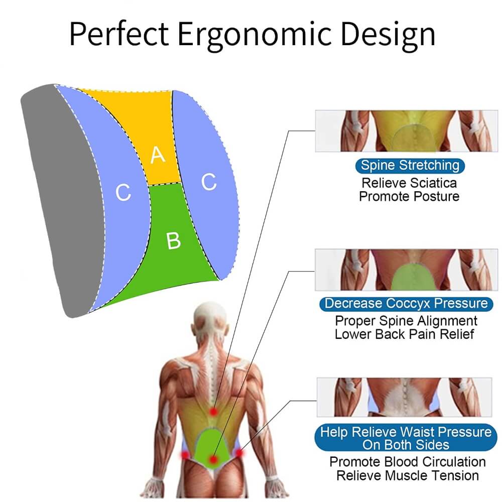 Lumbar Support Pillow Applied Remedy