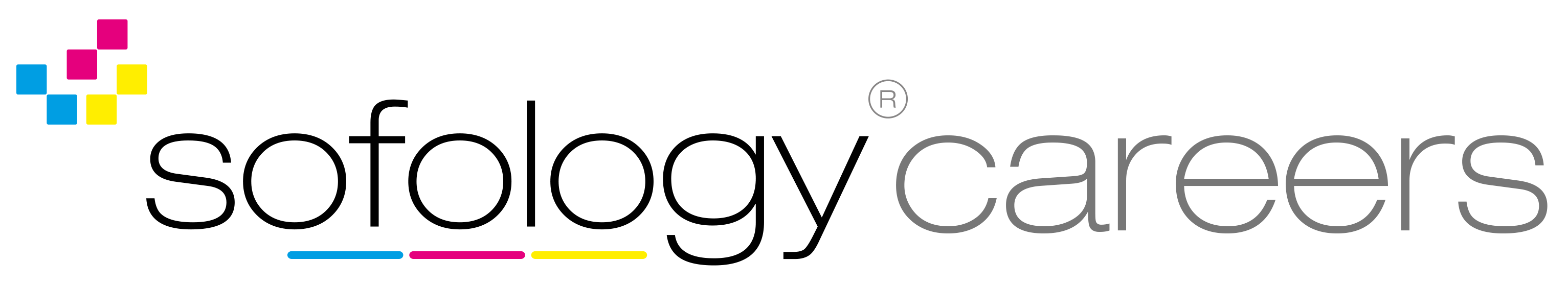 to the Sofology Careers Hub