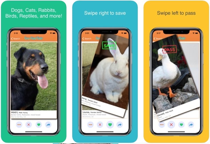 14 Best apps for pet adoption (Android & iOS) Apppearl Best mobile