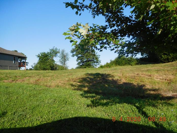 Wyandotte Public Access > Property Detail