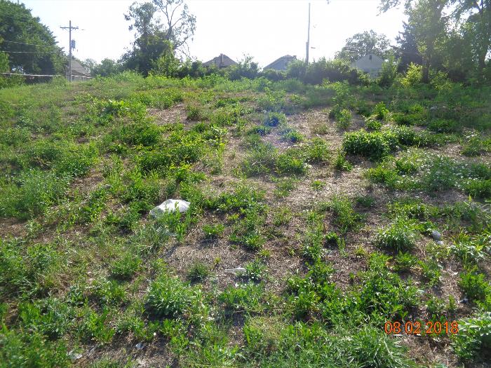 Wyandotte Public Access > Property Detail