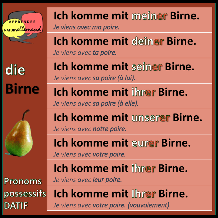 Comment bien utiliser les pronoms possessifs en allemand Apprendre natur'allemand