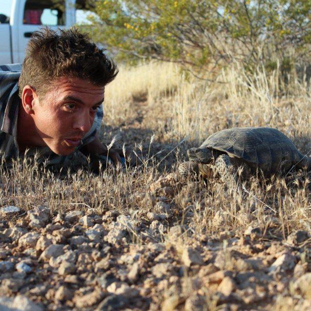 Andy Allan Durham University