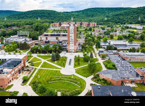 OnlyFans Creators in Binghamton, NY: Spotlight - King Ice Apps